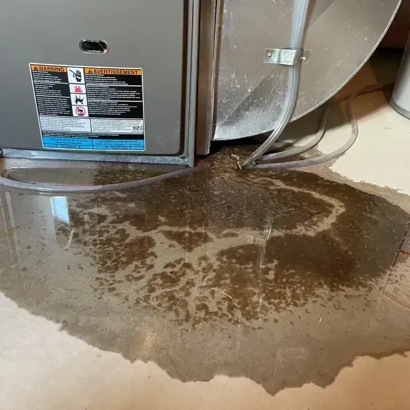 Appliance Leak Cleanup in Blackwater, AZ